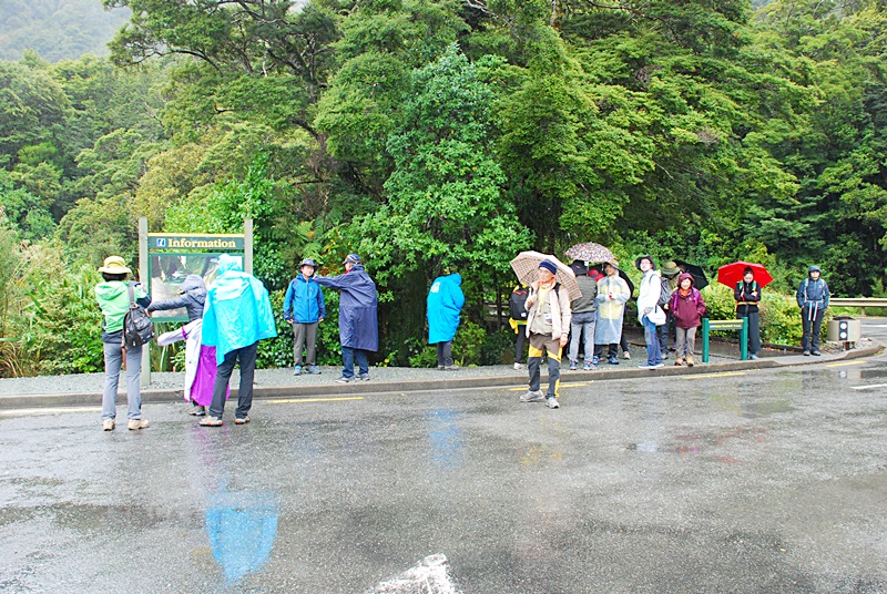 DSC_0518.JPG