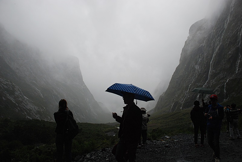 DSC_0504.JPG