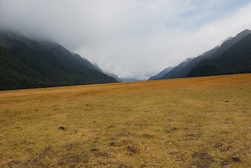 DSC_0478.JPG