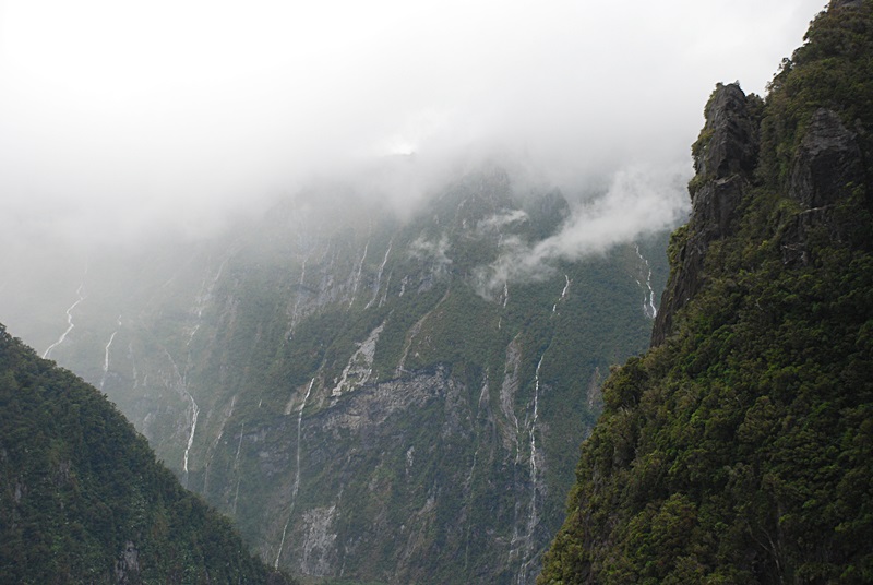 DSC_0601.JPG