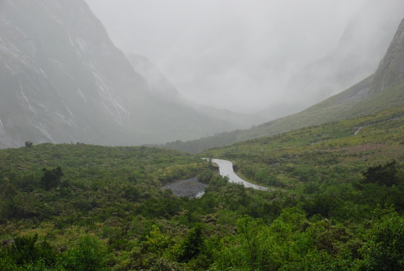 DSC_0513.JPG