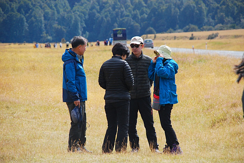 DSC_0476.JPG