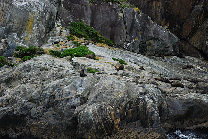 DSC_0575.JPG