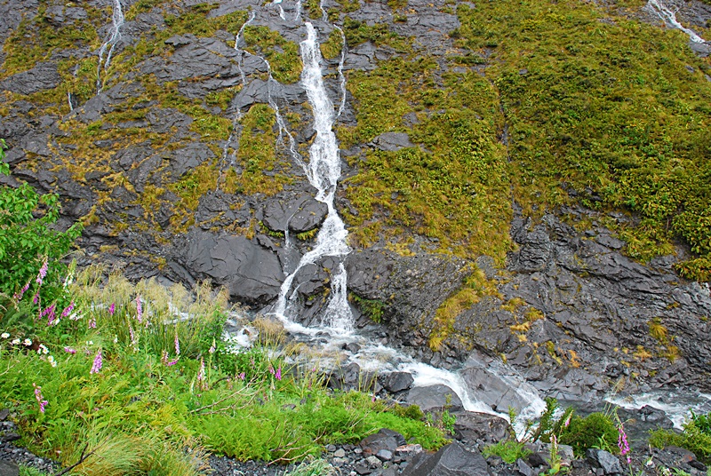 DSC_0507.JPG
