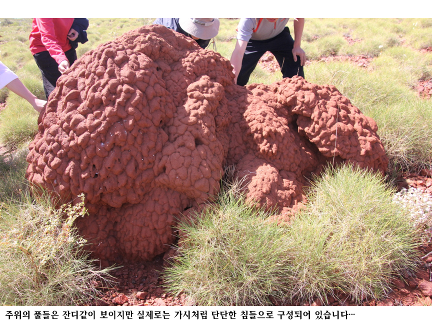 슬라이드34.PNG