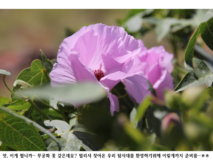 슬라이드57.PNG