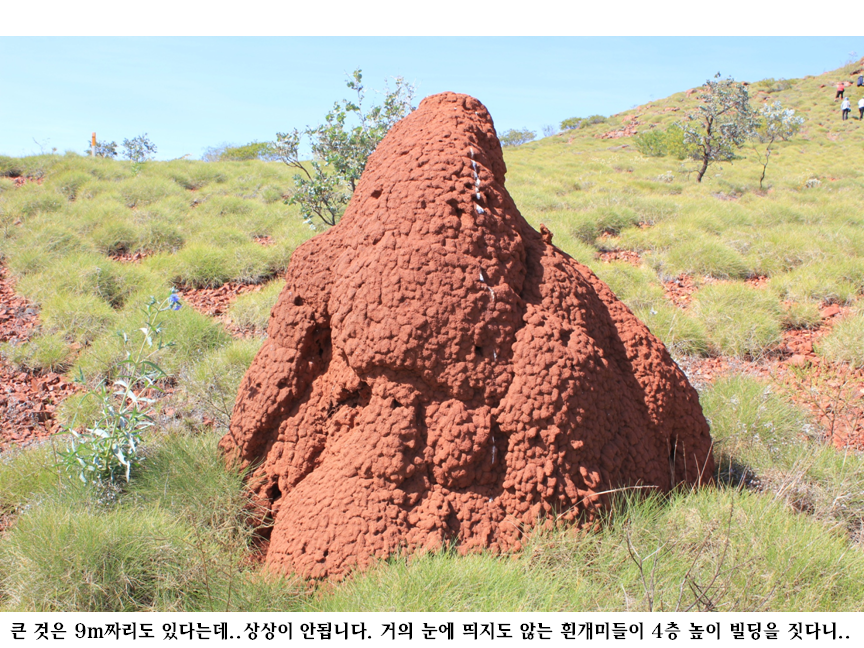슬라이드33.PNG