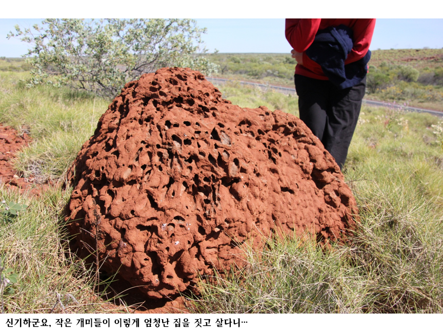 슬라이드32.PNG