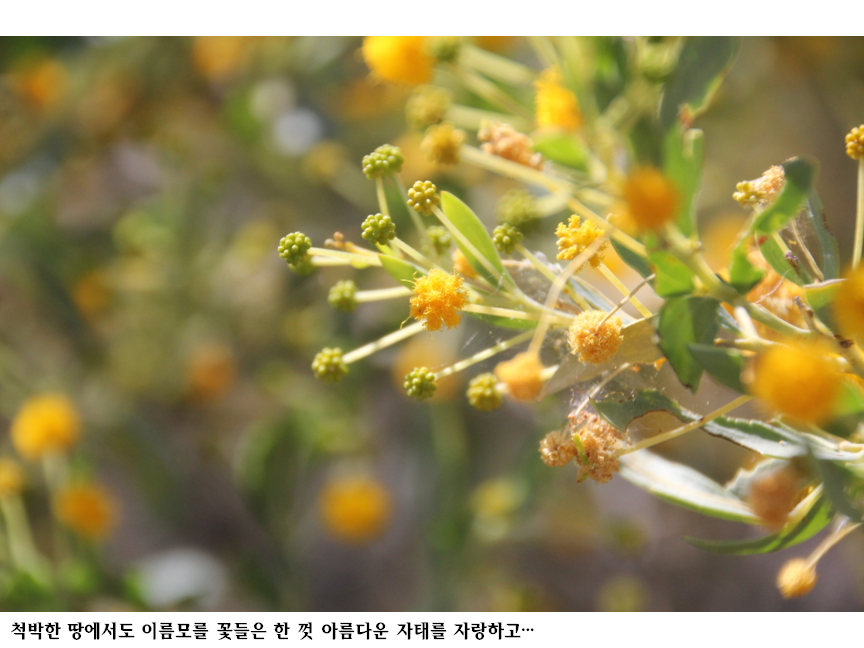 슬라이드59.PNG