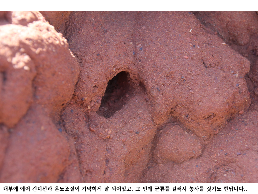 슬라이드36.PNG