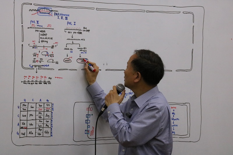 107-20170612-112641.JPG