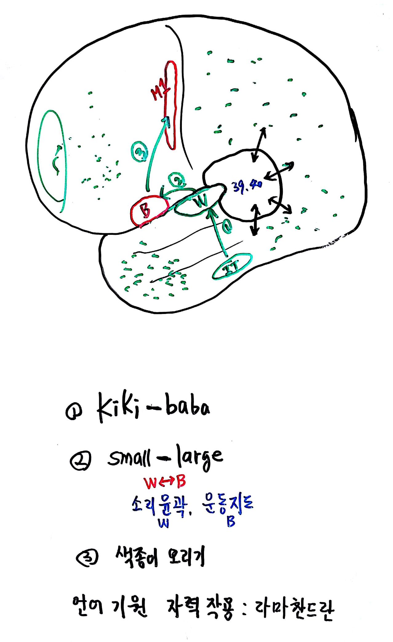 7보조.jpg