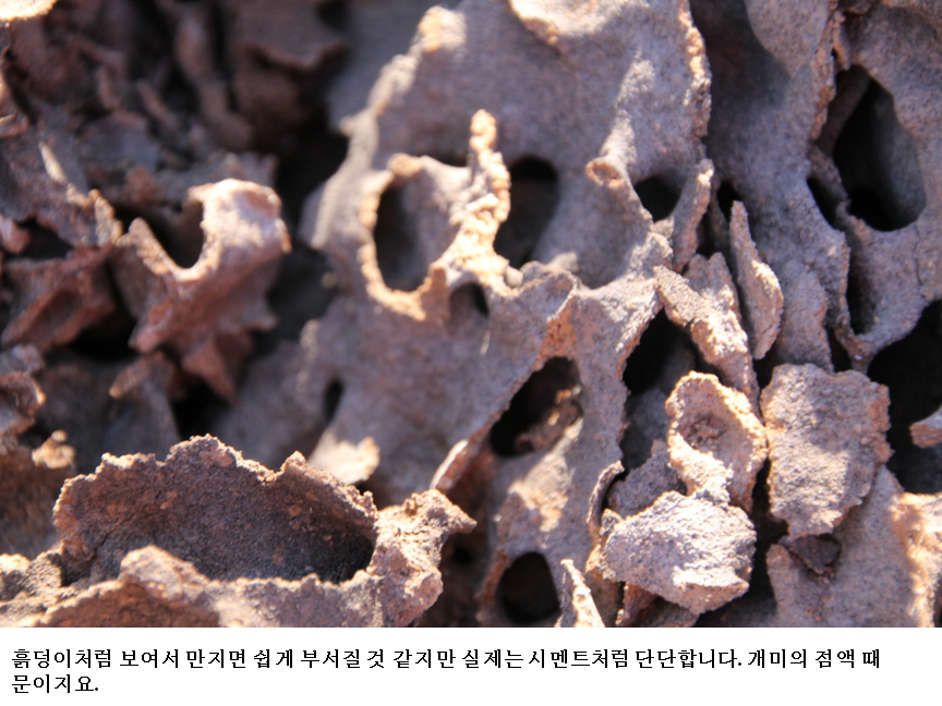 슬라이드54.PNG