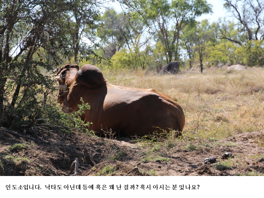 슬라이드46.PNG