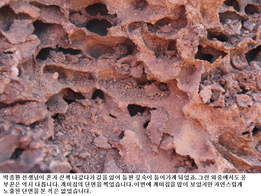 슬라이드53.PNG
