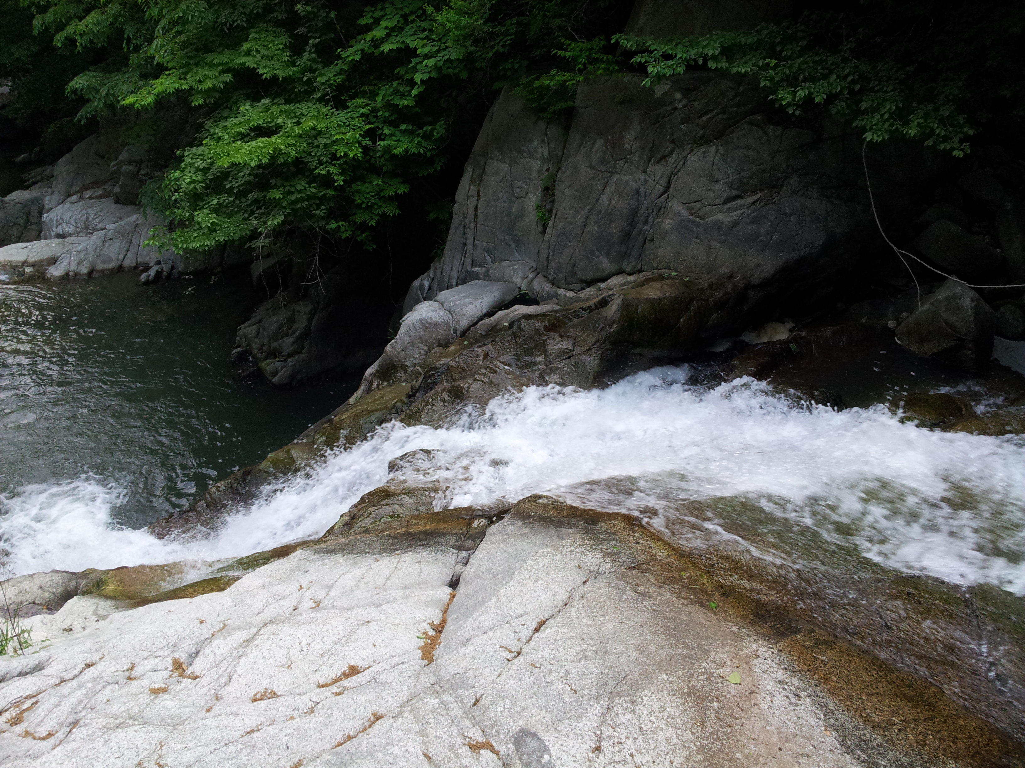 20120523_173542.jpg