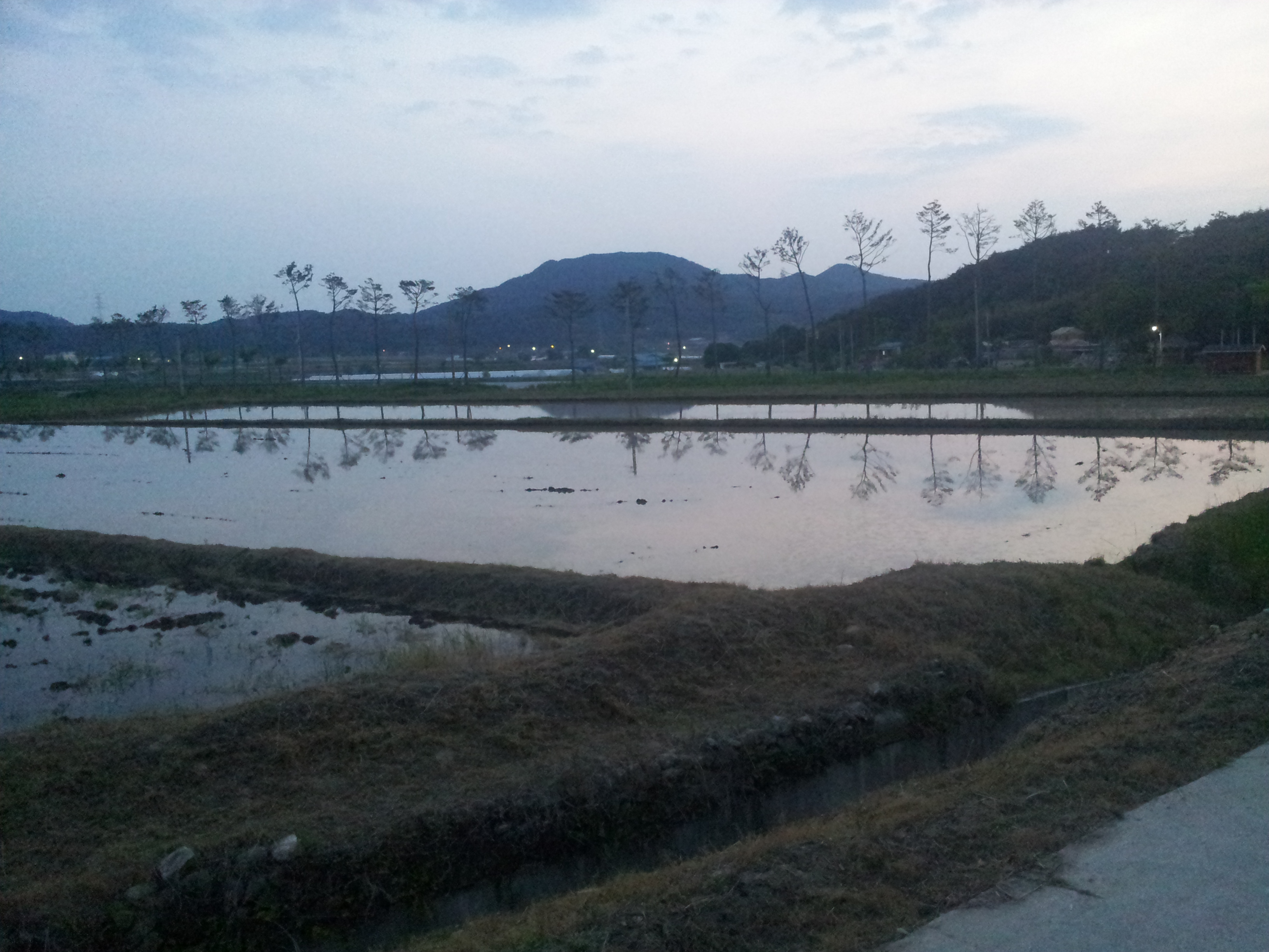 20120523_195110.jpg