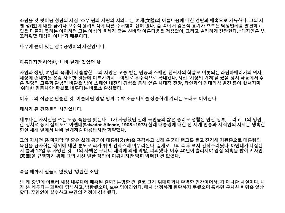 슬라이드45.JPG