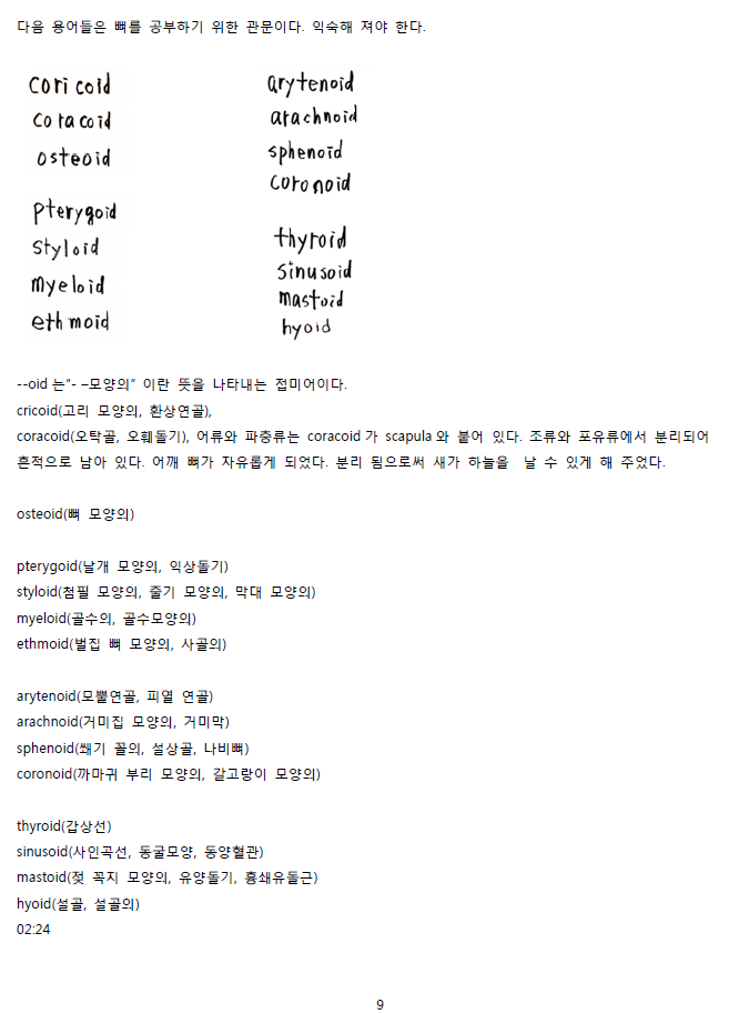 ScreenClip 09.png