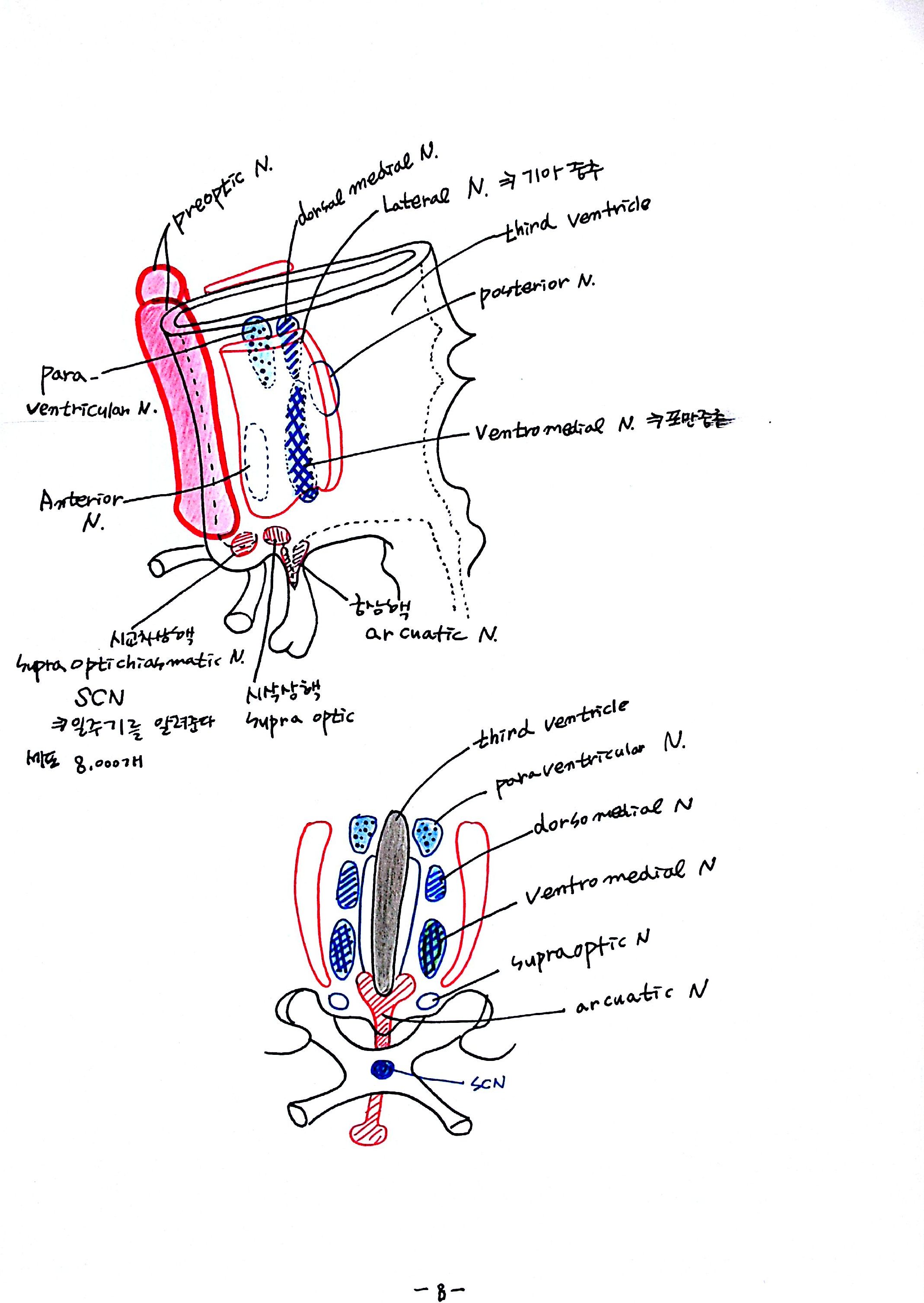 08-2012-11-12_10-40-44_180.jpg