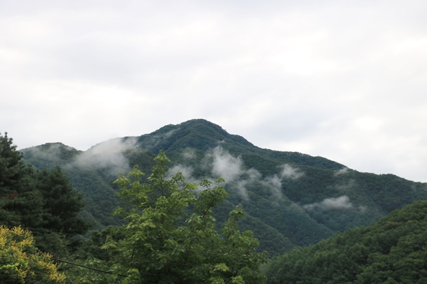 IMG_5173.JPG