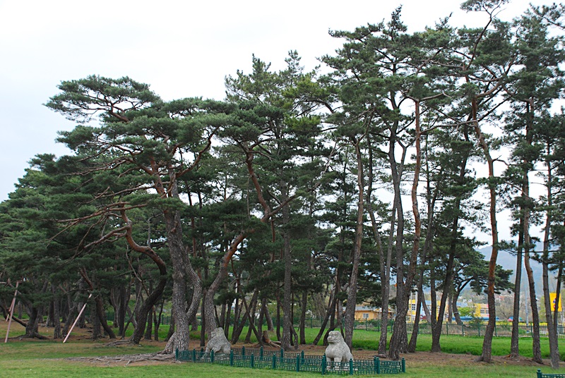 DSC_0325.JPG