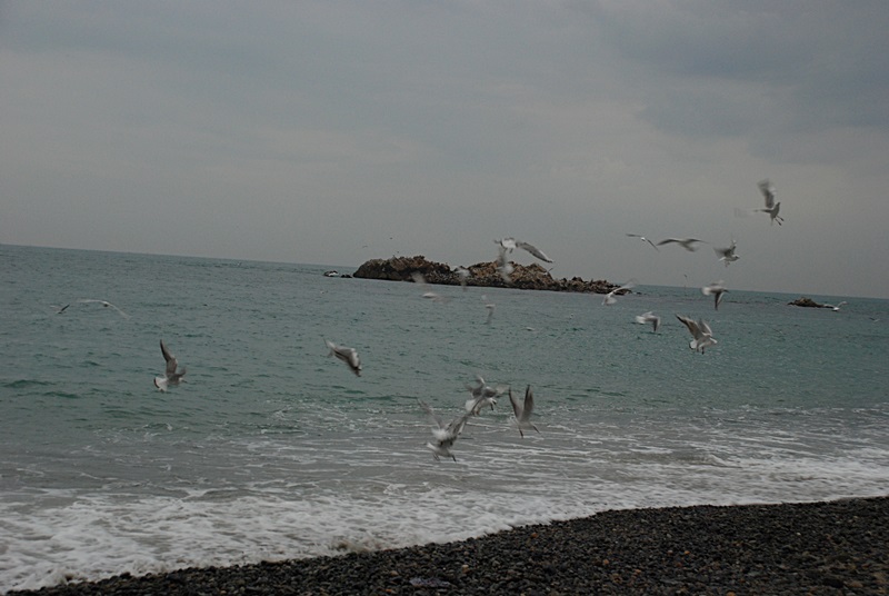 DSC_0384.JPG