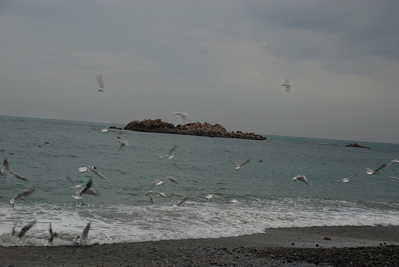 DSC_0388.JPG