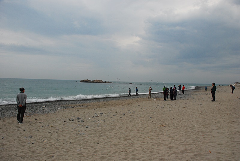 DSC_0382.JPG
