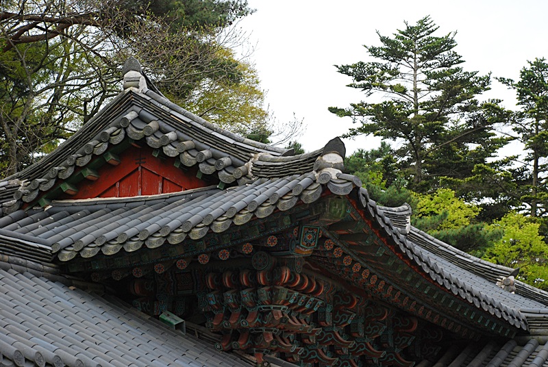 DSC_0247.JPG