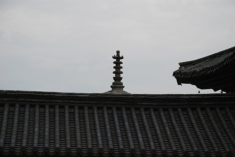 DSC_0267.JPG