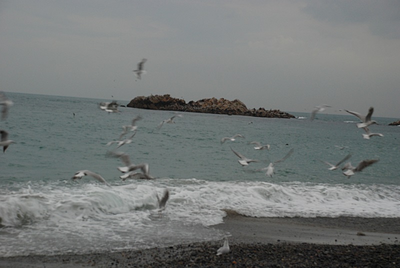DSC_0383.JPG