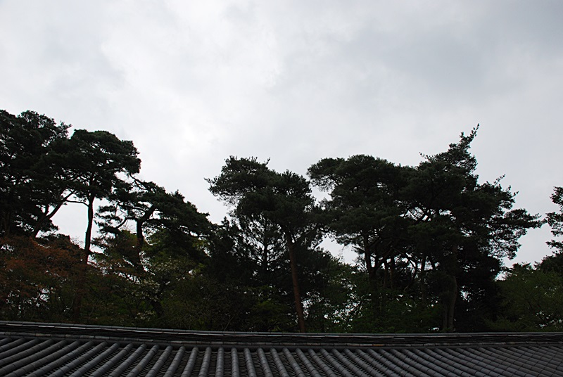 DSC_0246.JPG