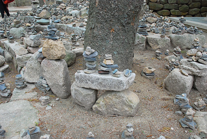 DSC_0298.JPG