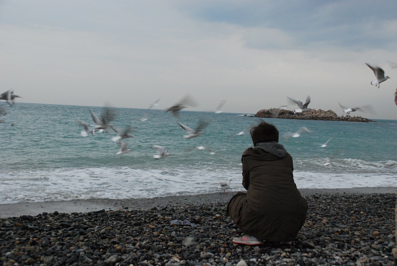 DSC_0402.JPG