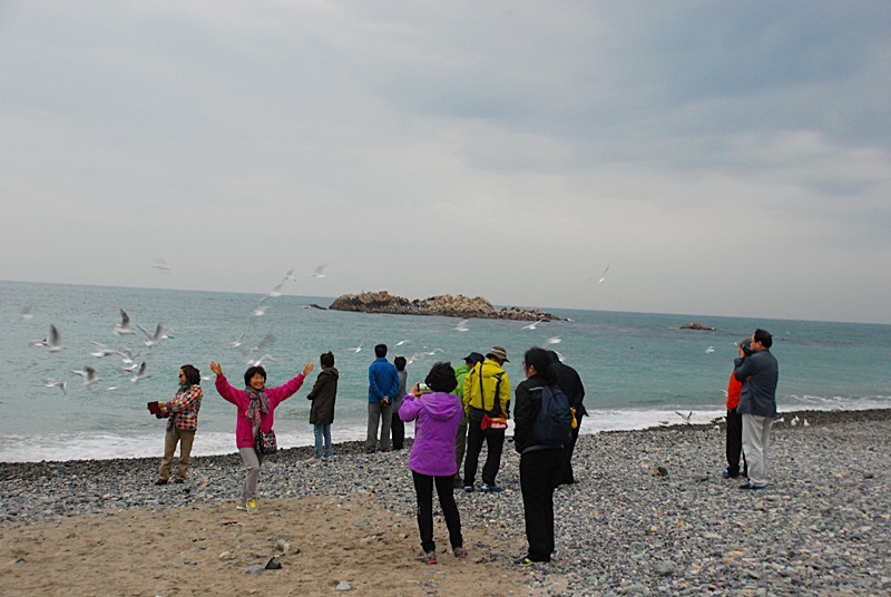 DSC_0392.JPG