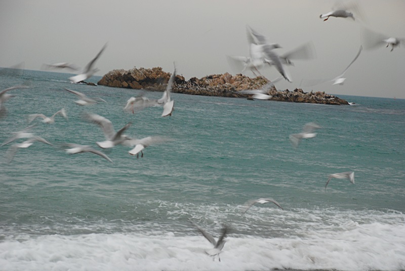 DSC_0395.JPG