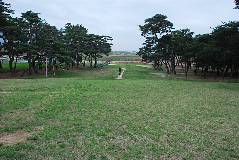 DSC_0346.JPG