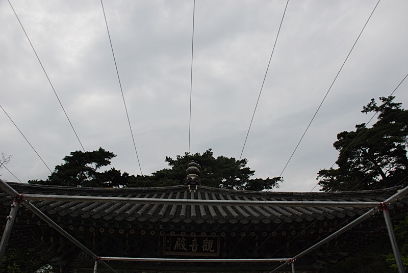 DSC_0273.JPG