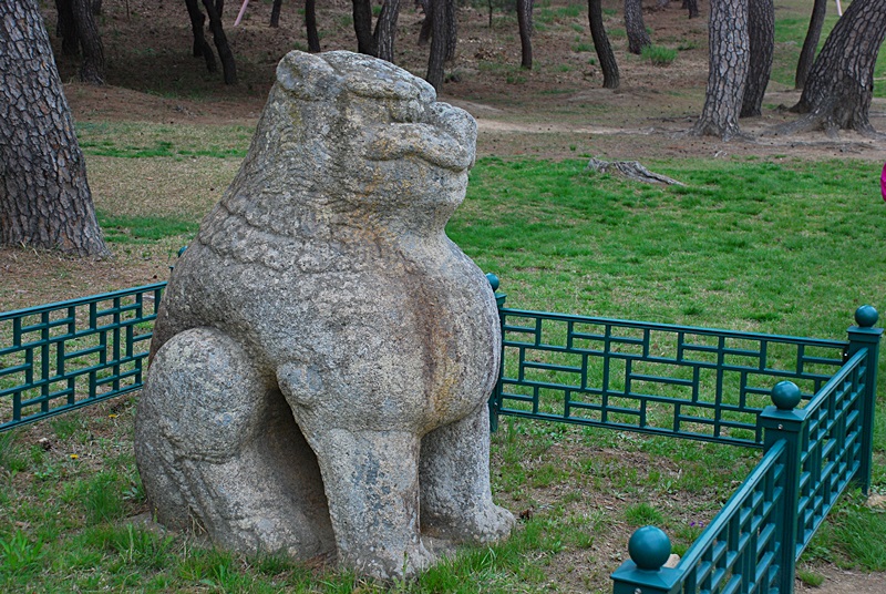 DSC_0331.JPG