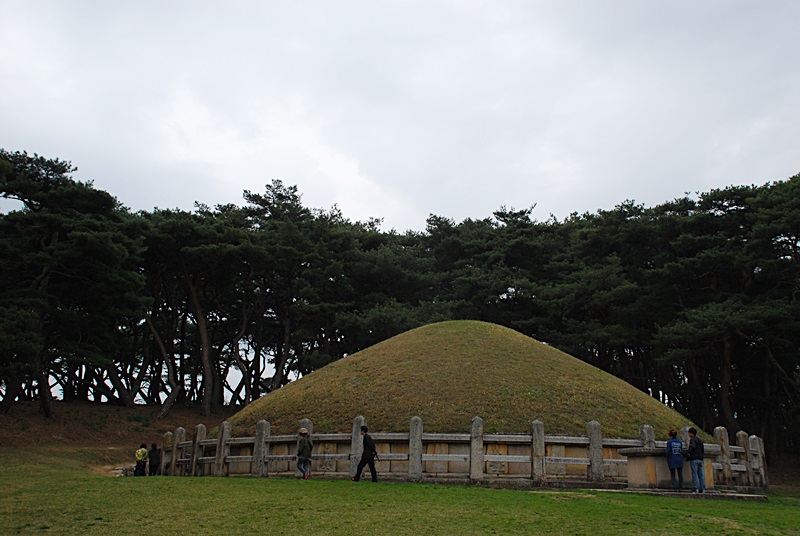 DSC_0338.JPG