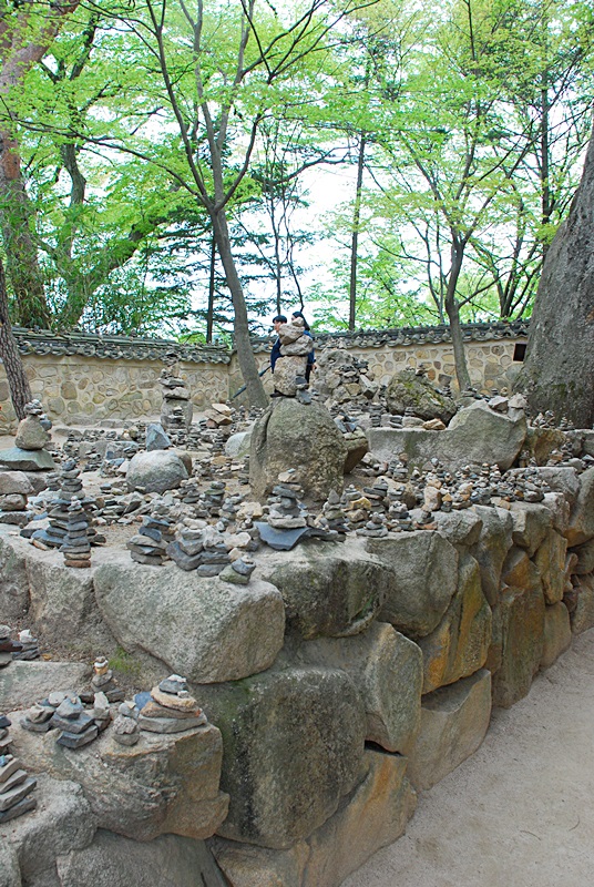 DSC_0299.JPG
