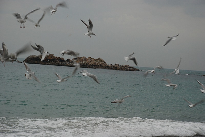 DSC_0387.JPG
