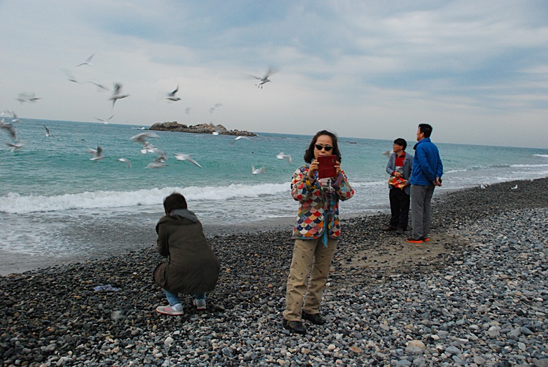 DSC_0398.JPG