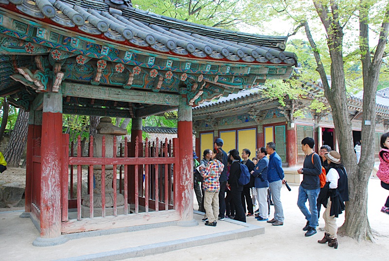 DSC_0294.JPG