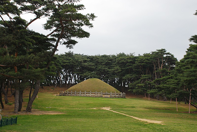 DSC_0316.JPG
