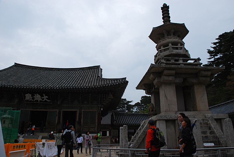 DSC_0234.JPG
