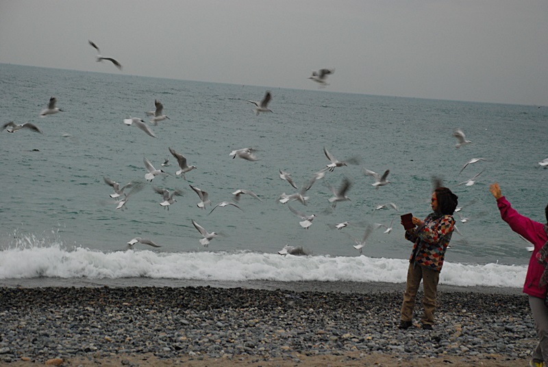DSC_0390.JPG