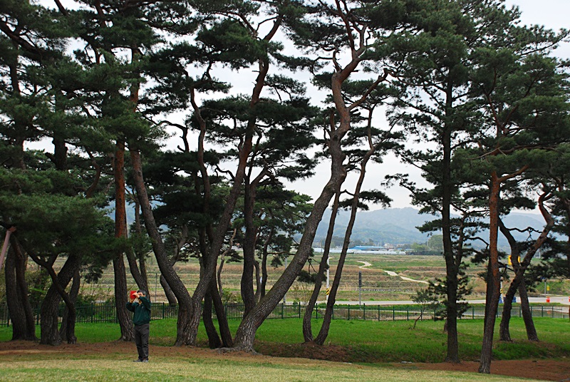 DSC_0357.JPG