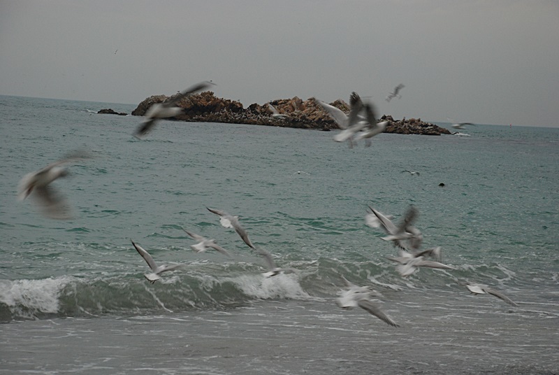 DSC_0385.JPG